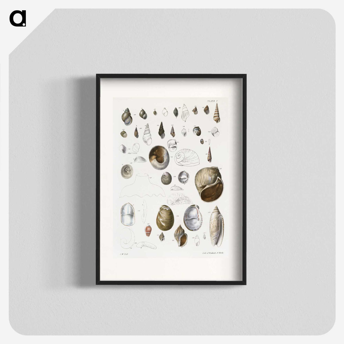 1-23_Zoology-of-New-York_blk