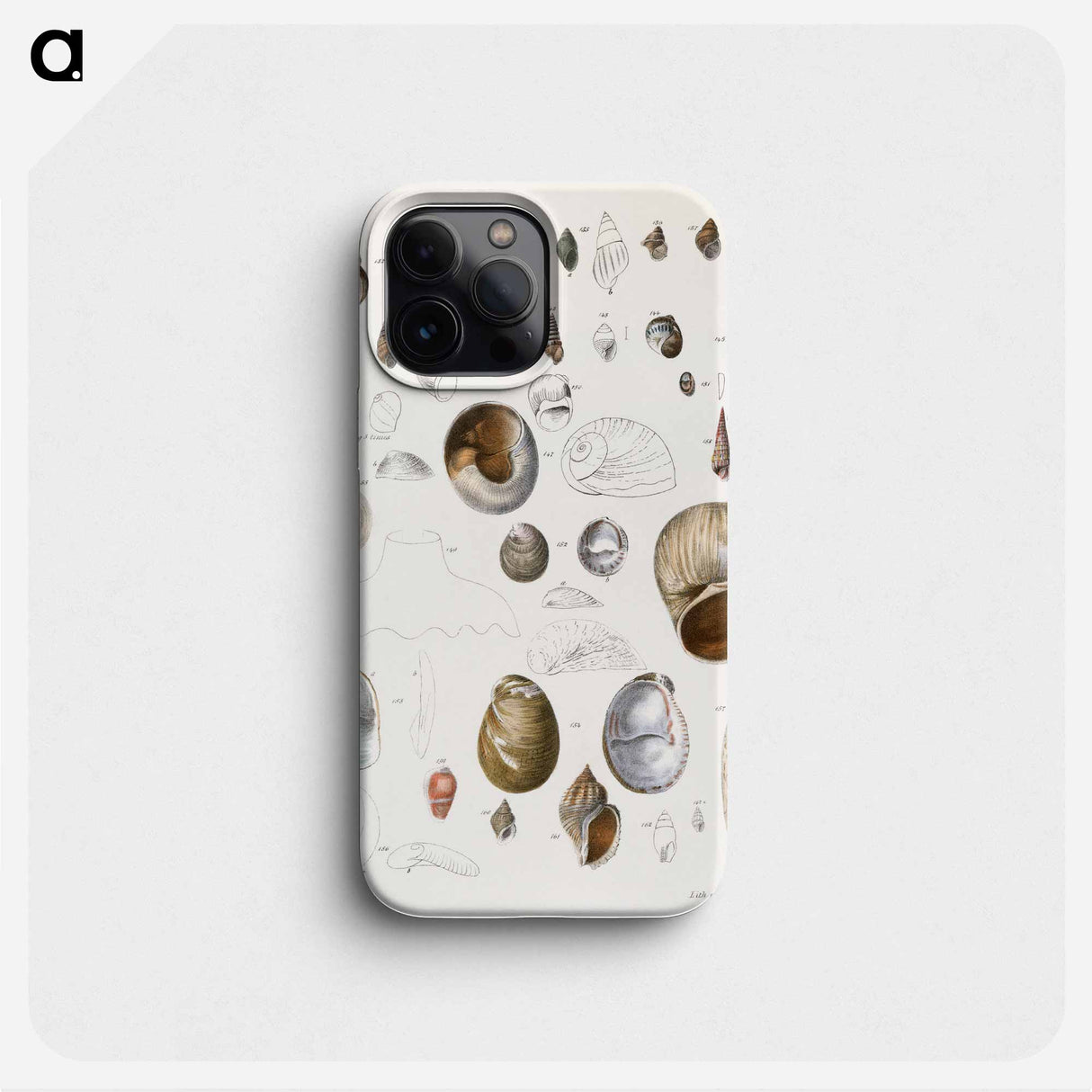 Different types of seashells illustration from Zoology of New York by James Ellsworth De Kay - ニューヨークの動物学 Phone Case.