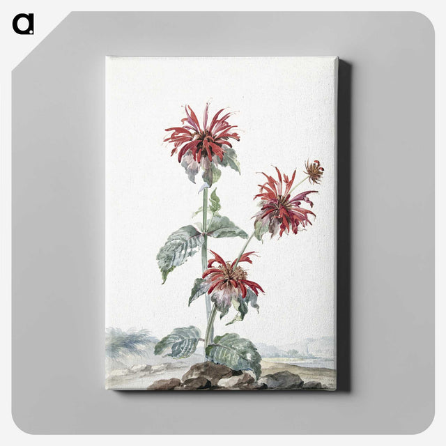 1-24_Aert-Schouman_canvas