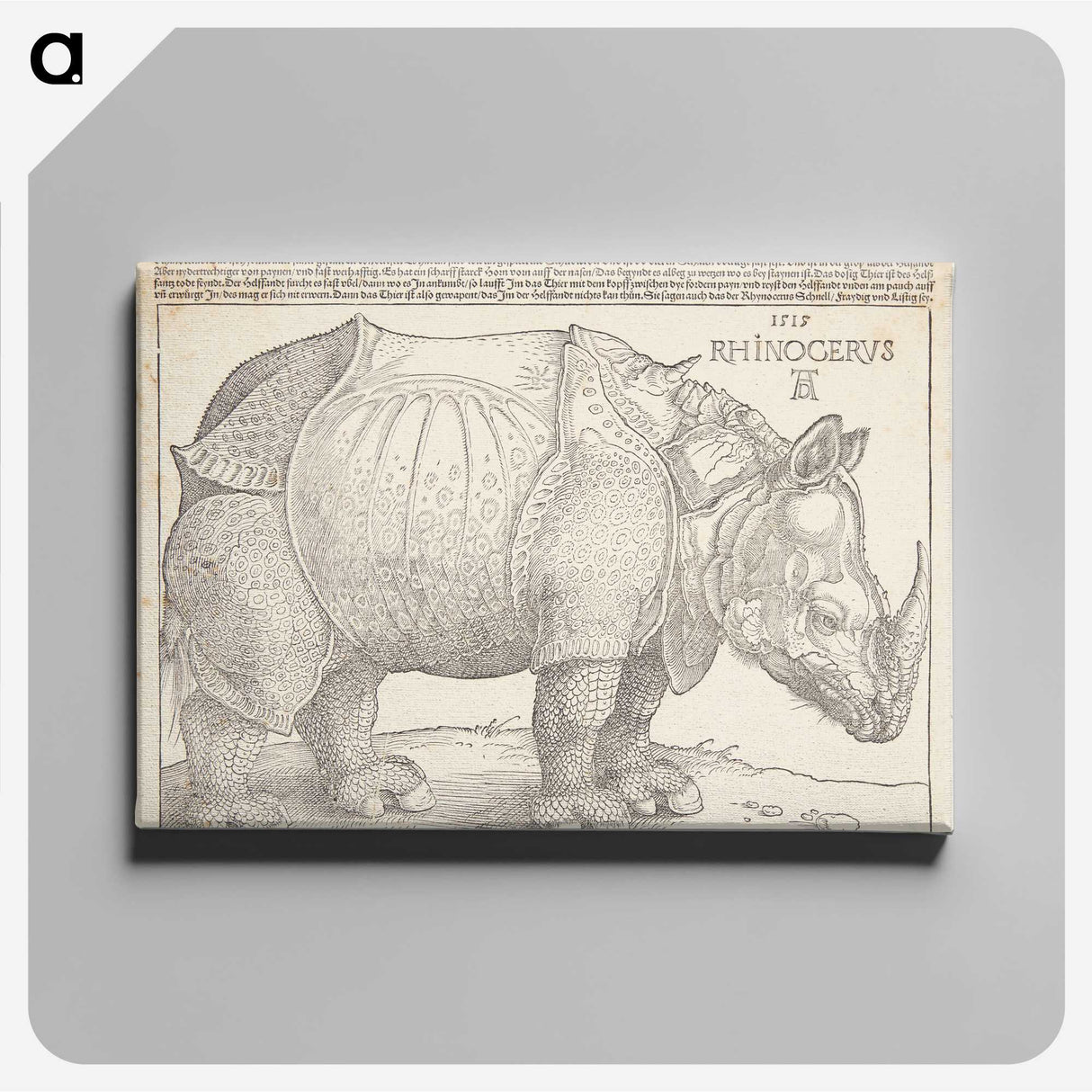 1-24_Albrecht-Durer_canvas