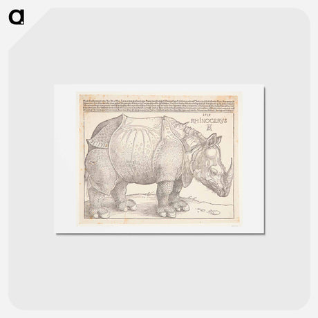 アートポストカード-The rhinoceros - アルブレヒト デューラー Postcard.