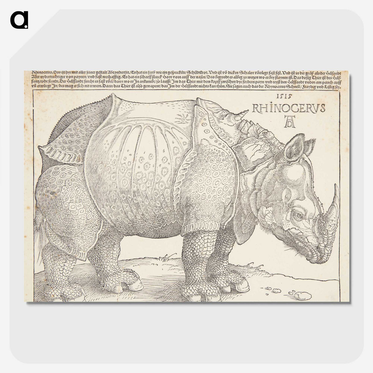 1-24_Albrecht-Durer_picture-crop