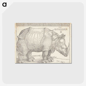1-24_Albrecht-Durer_postcard