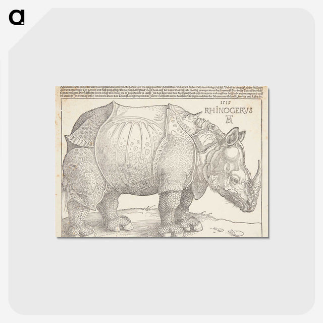 1-24_Albrecht-Durer_postcard
