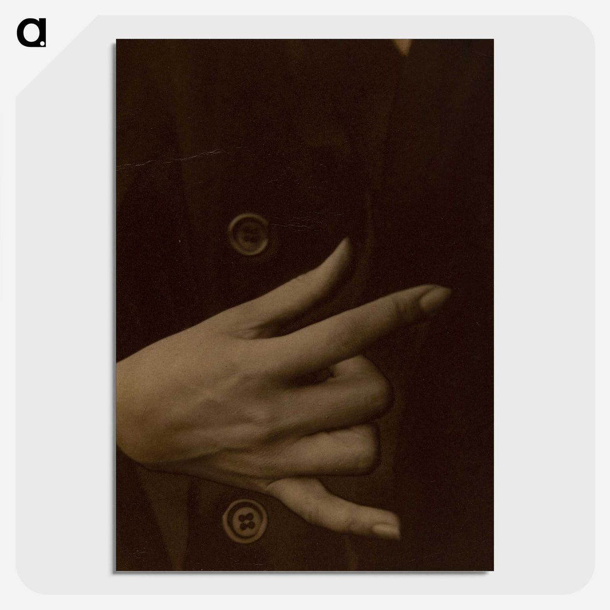 1-24_Alfred-Stieglitz_picture-crop