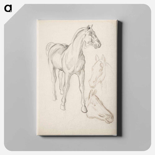 Horse, Hevosia - アルフレッド ウィリアム フィンチ Canvas.