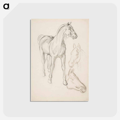アートポストカード-Horse, Hevosia - アルフレッド ウィリアム フィンチ Postcard.