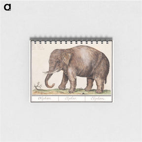 アートメモ帳-Asian elephant - アンセルムス ボエティウス デ ブート Memo.