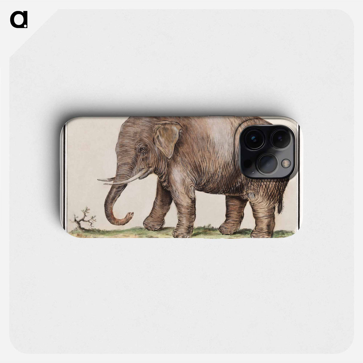 Asian elephant - アンセルムス ボエティウス デ ブート Phone Case.