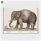 1-24_Anselmus-Boetius-de-Boodt_picture-crop