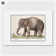 1-24_Anselmus-Boetius-de-Boodt_picture