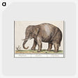 1-24_Anselmus-Boetius-de-Boodt_postcard