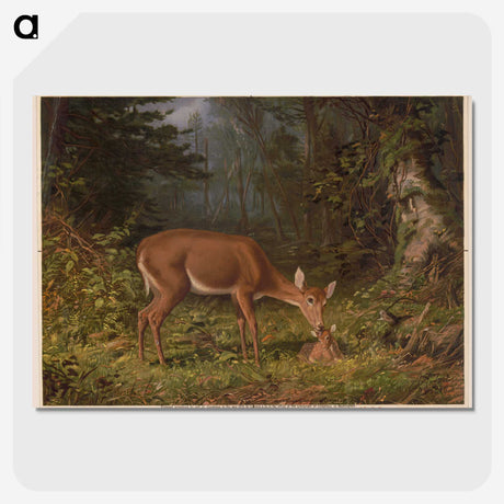 1-24_Arthur-Fitzwilliam-Tait_picture-crop