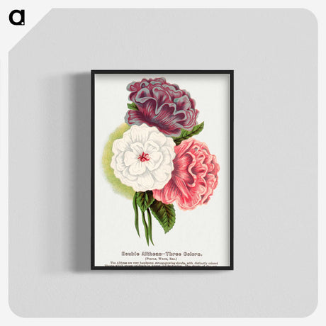 1-24_Botanical-Specimen-Plates_blk-crop