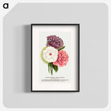 1-24_Botanical-Specimen-Plates_blk
