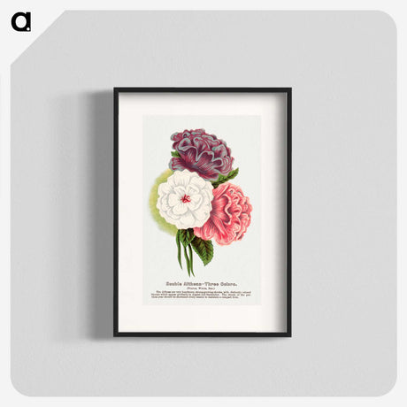 1-24_Botanical-Specimen-Plates_blk