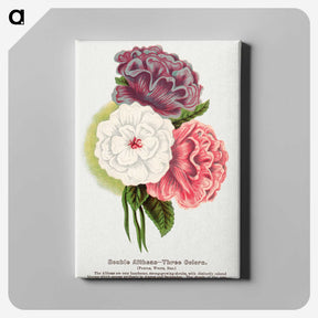 1-24_Botanical-Specimen-Plates_canvas