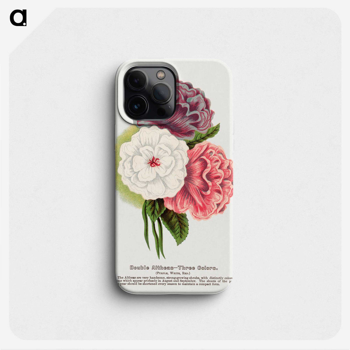 1-24_Botanical-Specimen-Plates_phone