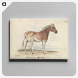 1-24_Charles-Hamilton-Smith_canvas