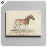 1-24_Charles-Hamilton-Smith_canvas