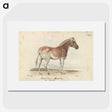 1-24_Charles-Hamilton-Smith_picture