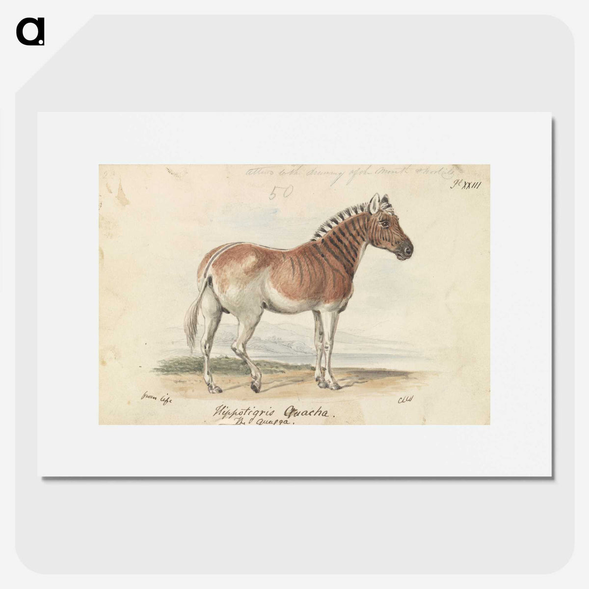 1-24_Charles-Hamilton-Smith_picture