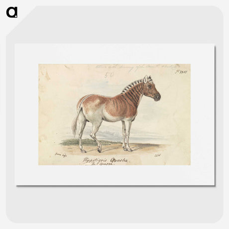1-24_Charles-Hamilton-Smith_picture