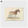 1-24_Charles-Hamilton-Smith_postcard