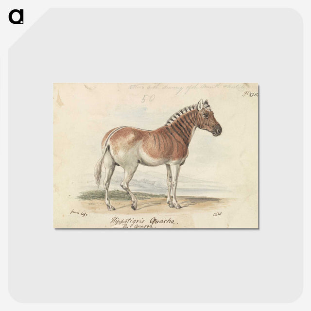 1-24_Charles-Hamilton-Smith_postcard