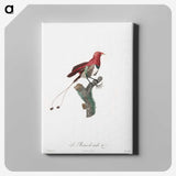 1-24_Des-Oiseaux-de-Paradis_canvas