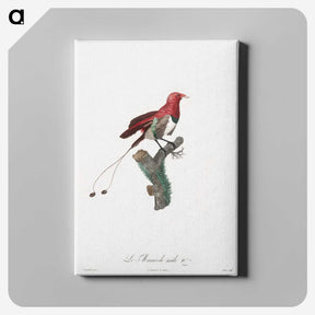 1-24_Des-Oiseaux-de-Paradis_canvas