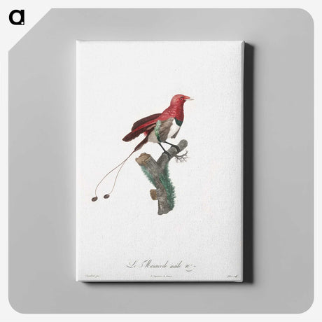 1-24_Des-Oiseaux-de-Paradis_canvas