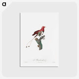 1-24_Des-Oiseaux-de-Paradis_hagaki