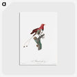 1-24_Des-Oiseaux-de-Paradis_postcard