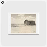 1-24_Dorothea-Lange_hagaki