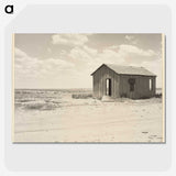 1-24_Dorothea-Lange_picture-crop