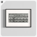 1-24_Eadweard-Muybridge_blk