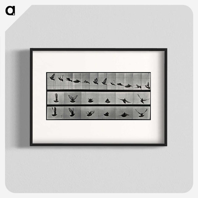 1-24_Eadweard-Muybridge_blk