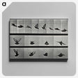 1-24_Eadweard-Muybridge_canvas