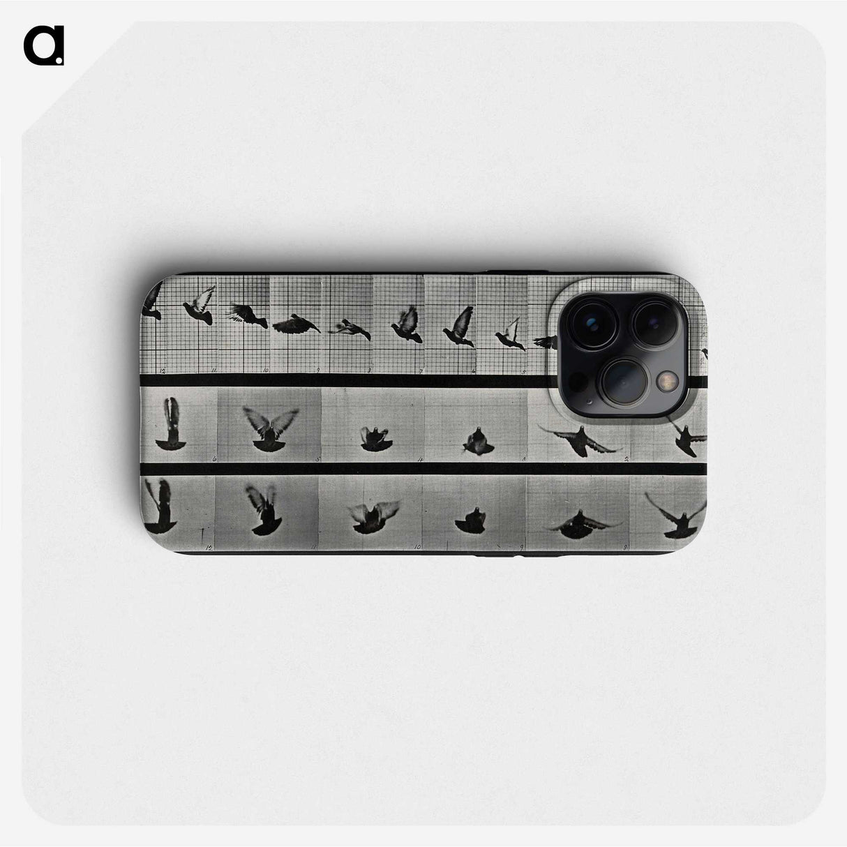 1-24_Eadweard-Muybridge_phone