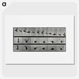 1-24_Eadweard-Muybridge_picture
