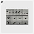 1-24_Eadweard-Muybridge_postcard