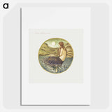 Venus' Looking Glass from The Flower Book - エドワード バーン ジョーンズ Poster.