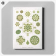 1-24_Ernst-Haeckel_canvas