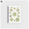 1-24_Ernst-Haeckel_memo