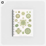1-24_Ernst-Haeckel_memo