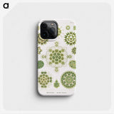 1-24_Ernst-Haeckel_phone
