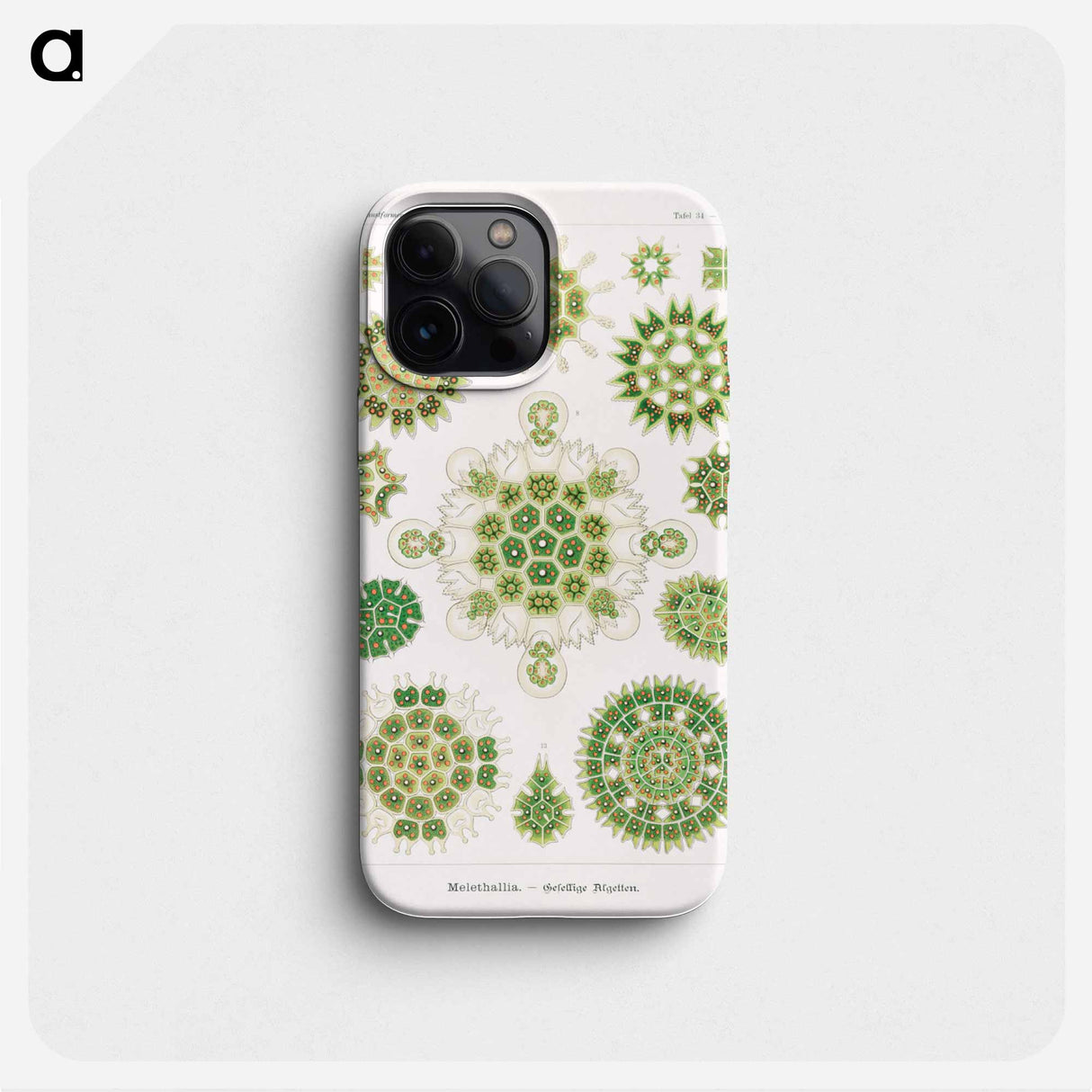 Melethallia–Gesellige Algetten from Kunstformen der Natur - エルンスト ヘッケル Phone Case.