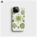 Melethallia–Gesellige Algetten from Kunstformen der Natur - エルンスト ヘッケル Phone Case.