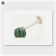 1-24_Familie-der-Cacteen_picture